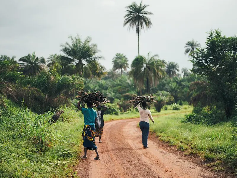Fair trade of forest products